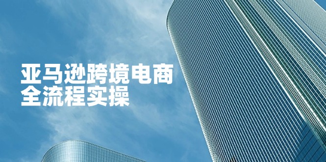 （14252期）亚马逊跨境电商全流程实操，教你从零开始，掌握店铺运营与广告技巧-创客空间
