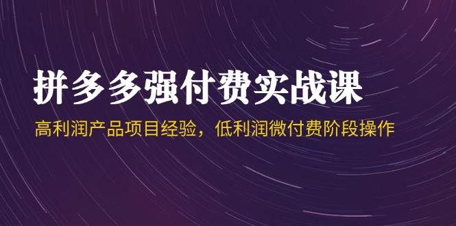 拼多多强付费实战课-44期，高利润产品项目经验，低利润微付费阶段操作-创客空间
