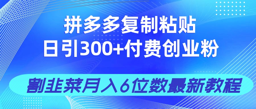 （14232期）拼多多复制粘贴日引300+付费创业粉，割韭菜月入6位数最新教程！-创客空间