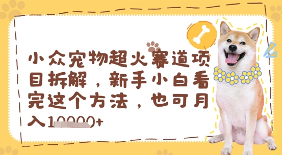 小众宠物超火赛道项目拆解，新手小白看完这个方法，也可月入过w-创客空间