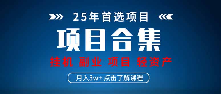 （14175期）2025 实操项目合集 挂机类型 直播类型 轻资产创业类型 课程分享各项目…-创客空间